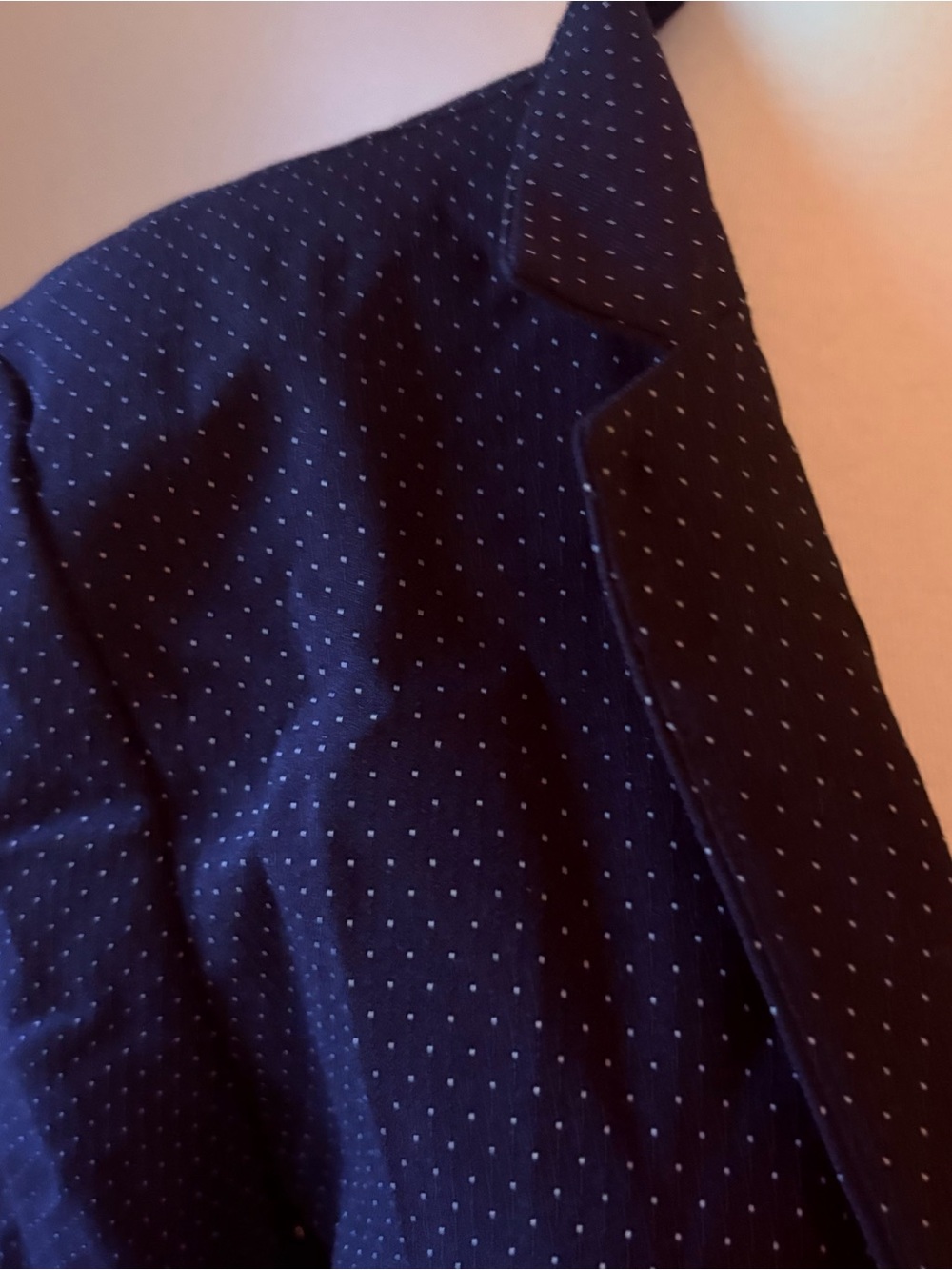 Navy Blue Pin Dot Blazer Ann Taylor 6